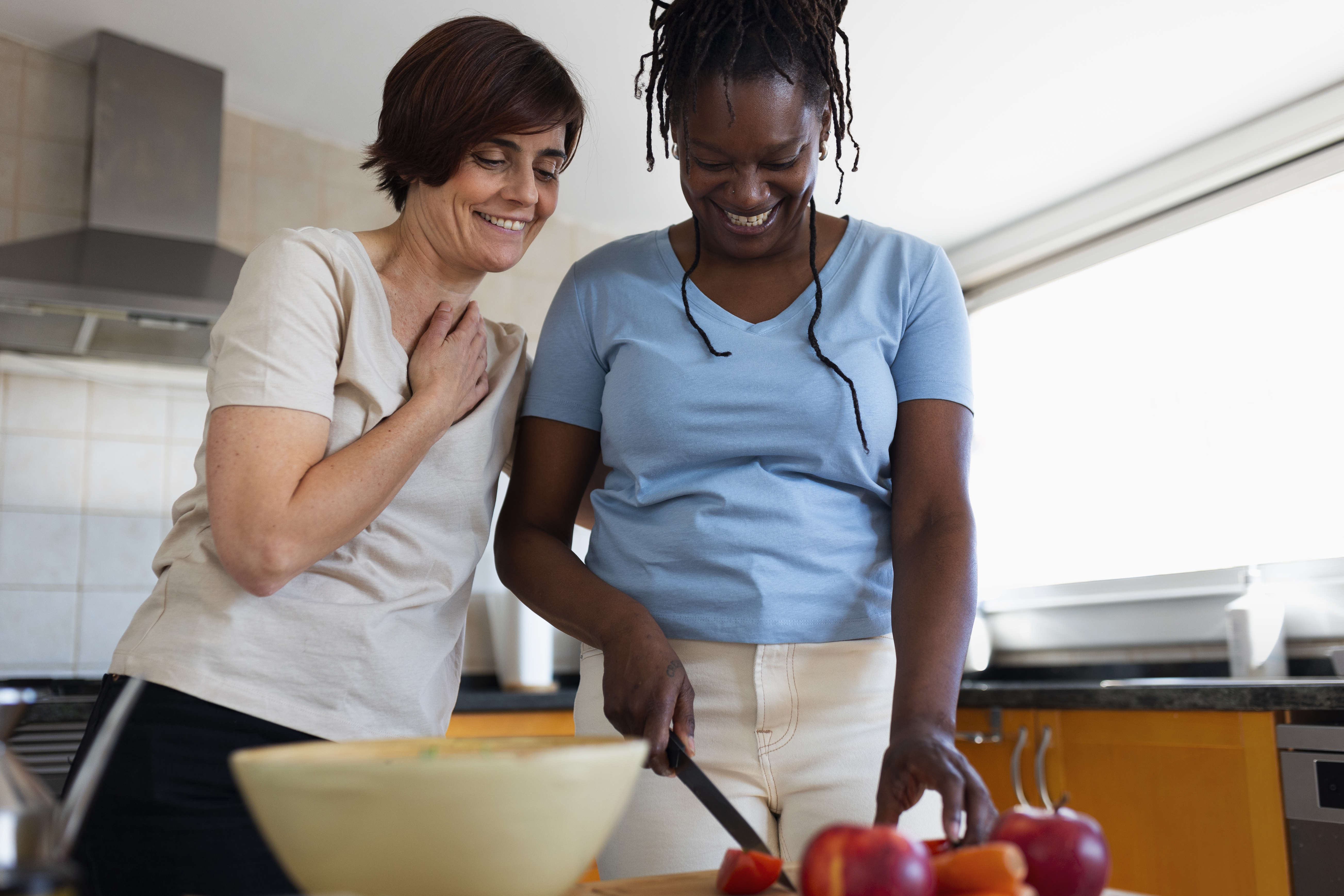 Domestic / Lifestyle Support service
